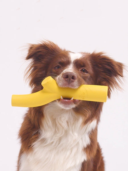 Bâton en caoutchouc pour chien - Super Stick Jaune - Beco