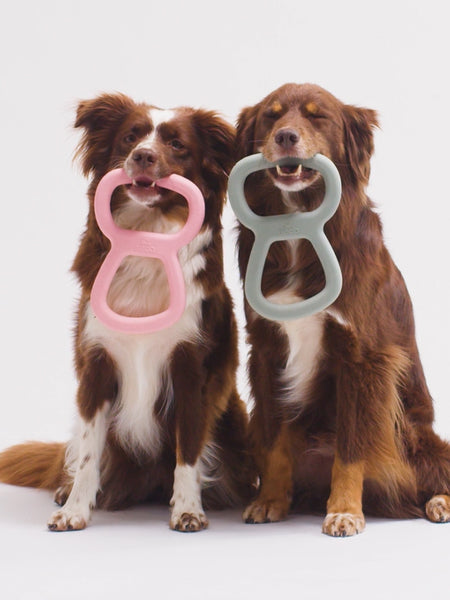 Bâton en caoutchouc pour chien - Tugger Rose - Beco