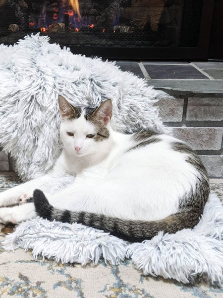 Plaid apaisant pour chien et chat - Best Friends by Sheri - Frost
