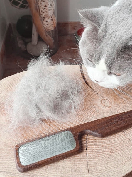 Brosse carde pour chiens et chats - Biogance
