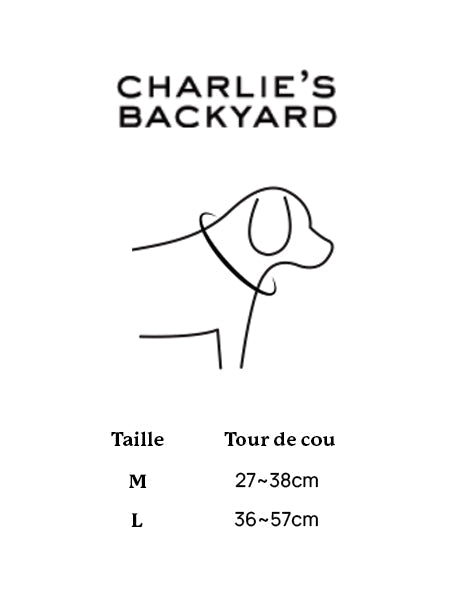 Collier pour chien - Town - Noir - Charlie's Backyard