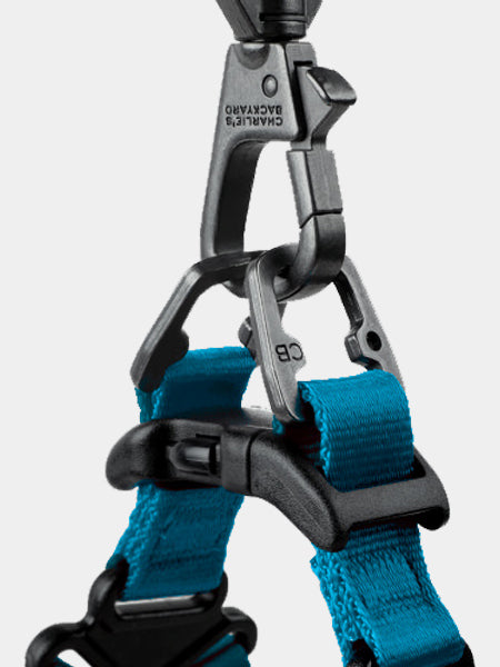 Harnais pour chien Confort Charlie's Backyard - Noir