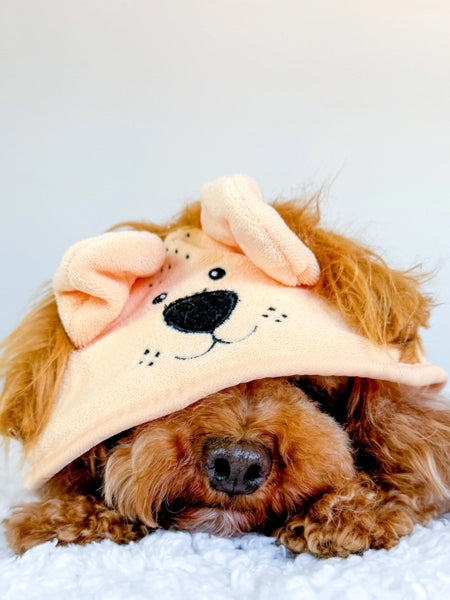 Peignoir de séchage pour chien - Lion 🦁 - Cocopup London