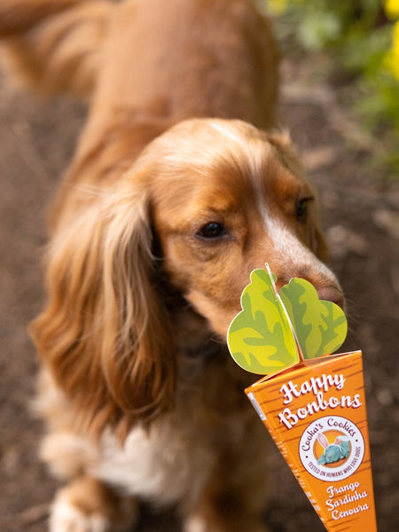 Biscuits de pâques pour chien - Happy Bonbon 🥕 - Cooka's Cookies