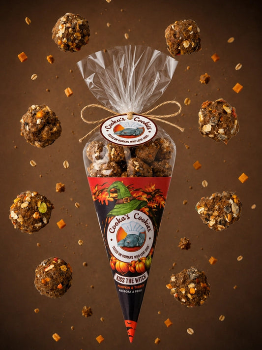 Biscuits d'halloween pour chien - Kiss the witch 🧙♀️ - Cooka's Cookies