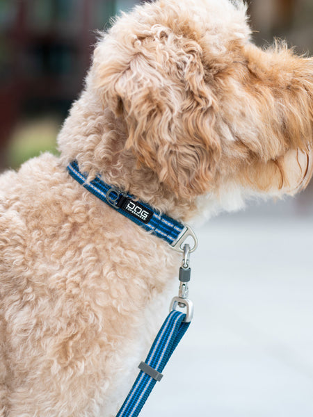 Collier pour chien DOG Copenhagen - Urban Style - Bleu