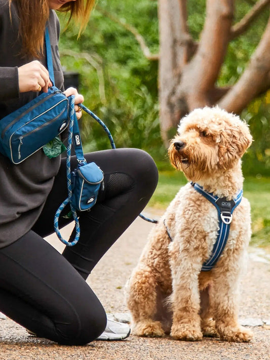 Laisse pour chien - Urban Rope Bleu - Dog Copenhagen
