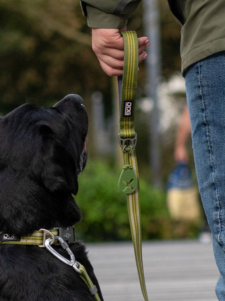 Laisse ajustable pour chien - Urban Freestyle Vert - Dog Copenhagen