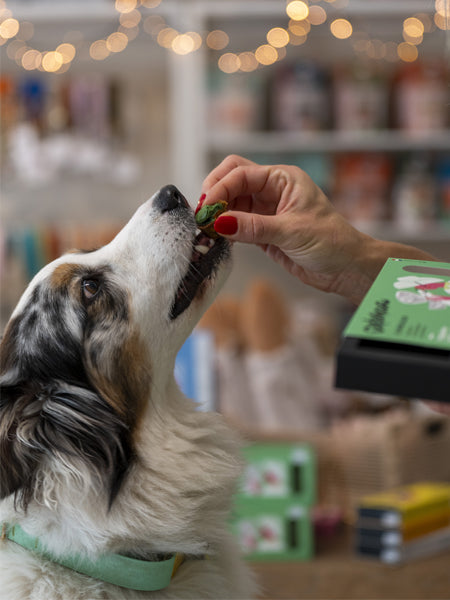 Pâtisserie pour chien - Le Moelleux Hygiène bucco-dentaire - Delamour