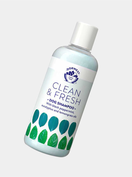 Shampoing Antiparasitaire Clean & Fresh pour chien et chat - Dorwest