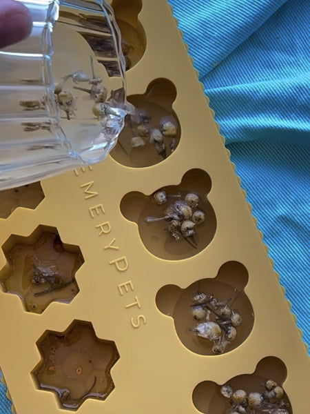 Moule en silicone pour friandises - Ours et Miel - EmeryPets