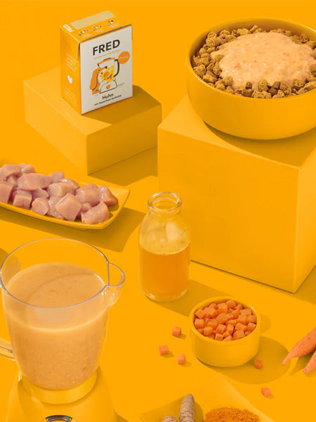 Topping Smoothie pour chien - Poulet 🐓 - Fred & Felia