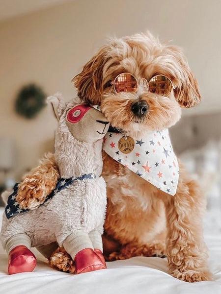 Peluche originale pour chien - Lama Super-héro 🦙🦸🏽♂️ - Fringe PetShop
