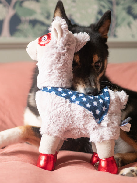 Peluche originale pour chien - Lama Super-héro 🦙🦸🏽♂️ - Fringe PetShop