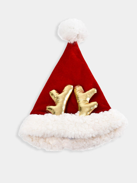 Chapeau de Noël pour chien