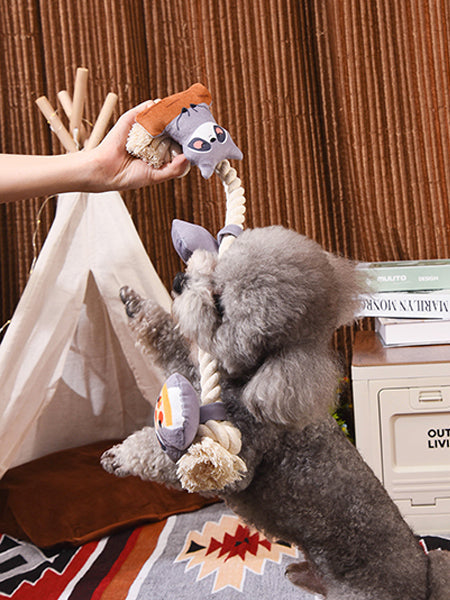 Jouet en peluche pour chien avec corde - Raton Laveur 🦝 - HugSmart