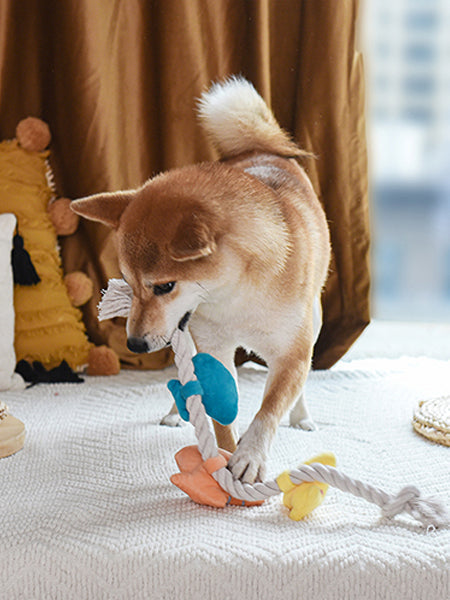 Jouet en peluche et corde