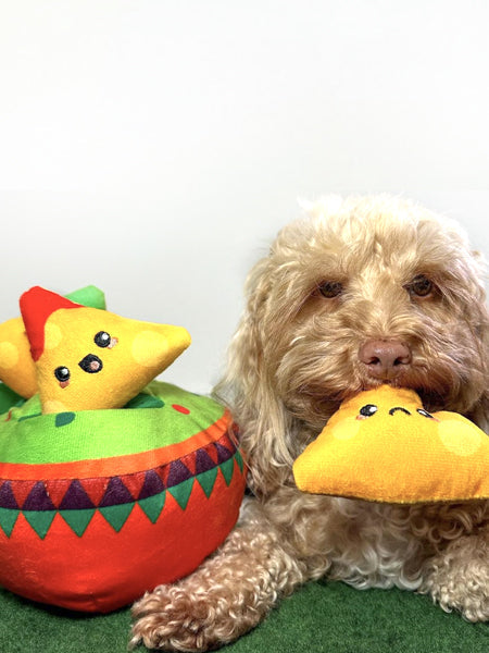 Jouet interactif pour chien