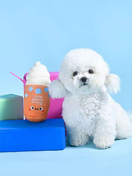 Jouet pour chien Peluche et Latex - Food Party Iced Coffee 🥤 - HugSmart