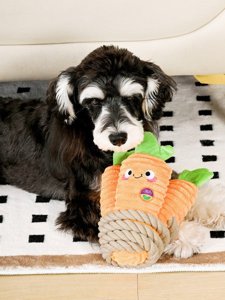 Jouet en peluche pour chien avec corde