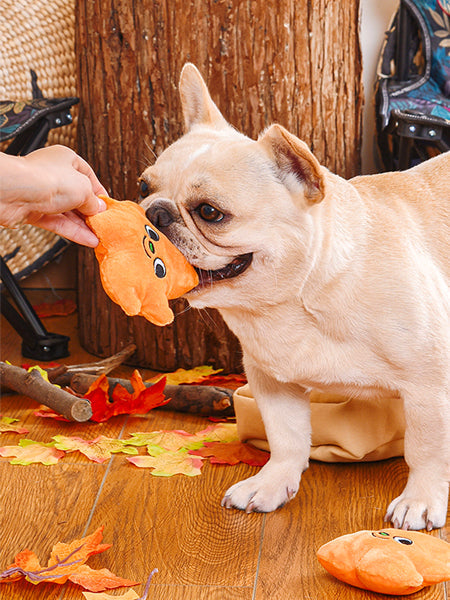 Jouet interactif pour chien - Feuille d'Automne 🍁🍂 - HugSmart