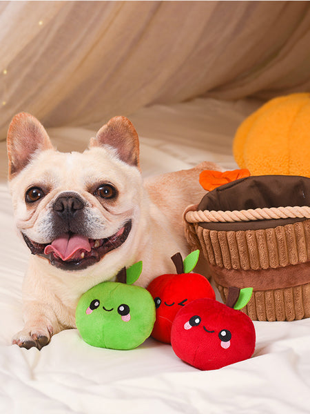 Jouet interactif pour chien