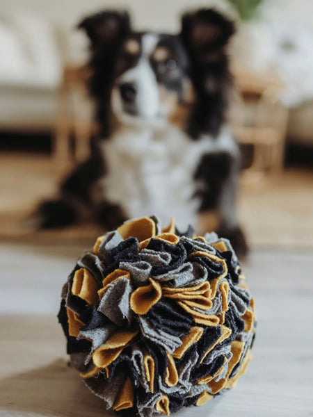 Balle de fouille pour chien - Hunter