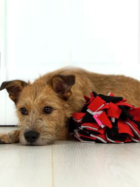 Tapis de fouille pour chien - Sniffing Ball - Rouge