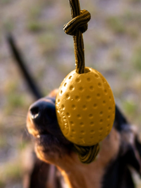 Jouet pour chien haute densité avec corde - Egg (2 coloris disponible)