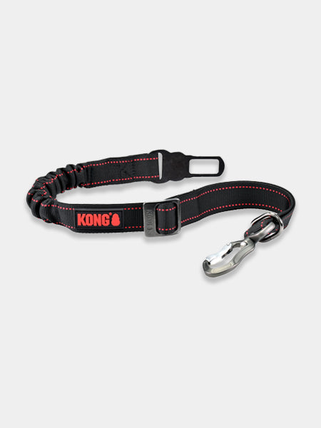 Ceinture de sécurité pour chien