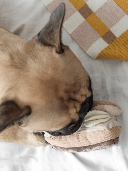 Jeu de fouille interactif pour chien - Eclair au chocolat