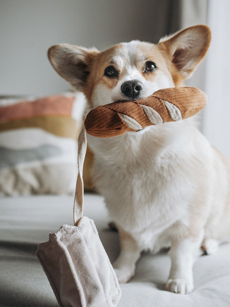Jeu d'occupation pour chien - Mini Baguette - Lambwolf Collective