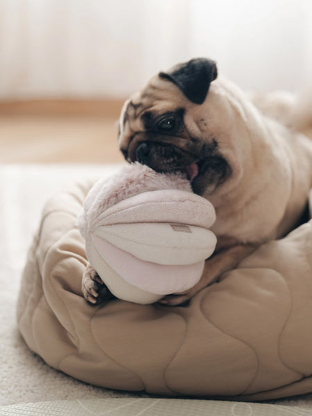 Jouet d'occupation pour chien - Toto - Rose