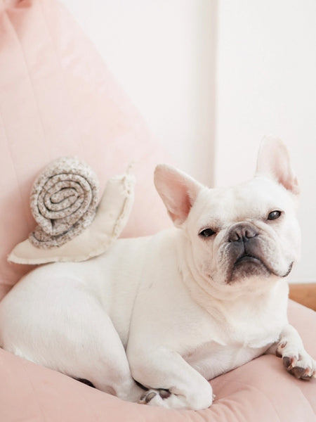 Jouet de fouille pour chien - Escargot 🐌 - Lambwolf Collective