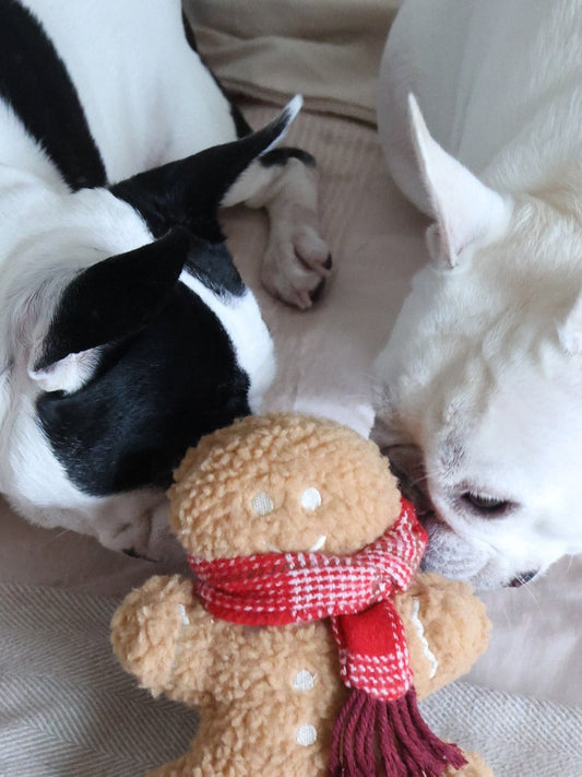 Jouet en peluche pour chien