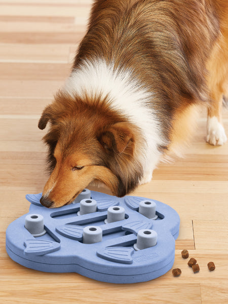 Jouet interactif / puzzle pour chien - Hide N Slide - Niveau 2