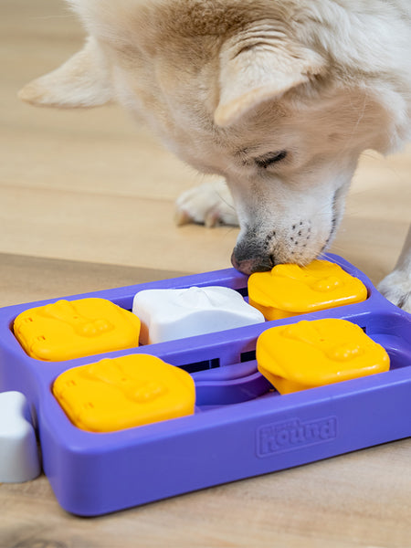 Jouet interactif / puzzle pour chien - Dog Brick Small Edition - Niveau 2