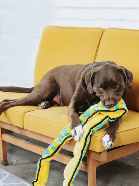 Peluche résistante pour chien - Invicibles Snake XXL - Outward Hound