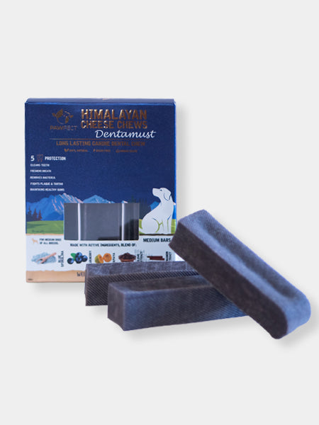 Bâtons de Fromage à mâcher pour chien - Myrtille 🫐 - Taille M