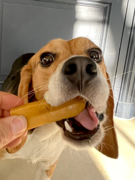 Bâtons de Fromage de Yak à mâcher pour chien - Taille S