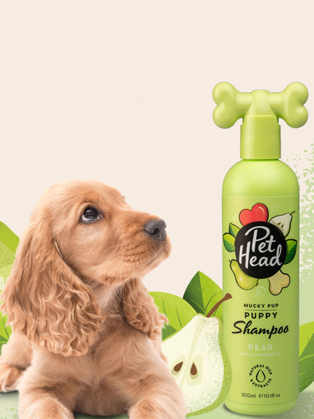 Shampoing délicat pour chiot - Poire 🍐