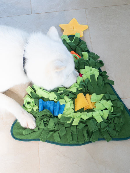 Grand Tapis de fouille