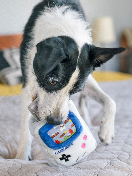 Jouet rétro pour chien - 90's Classic - Game Bone 🎮 - Pet PLAY