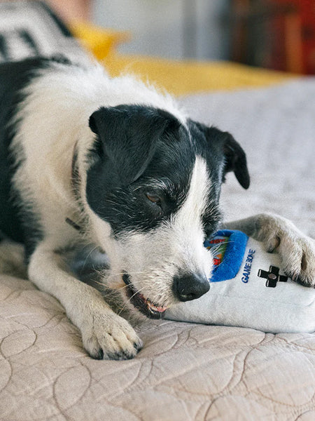 Jouet rétro pour chien - 90's Classic - Game Bone 🎮 - Pet PLAY