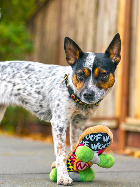 Jouet rétro pour chien - 90's Classic - Skateboard 🛹 - Pet PLAY