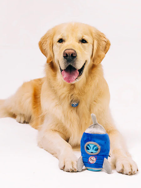 Peluche 2-en-1 pour chien - Alien Buddies Starblaster - Pet PLAY