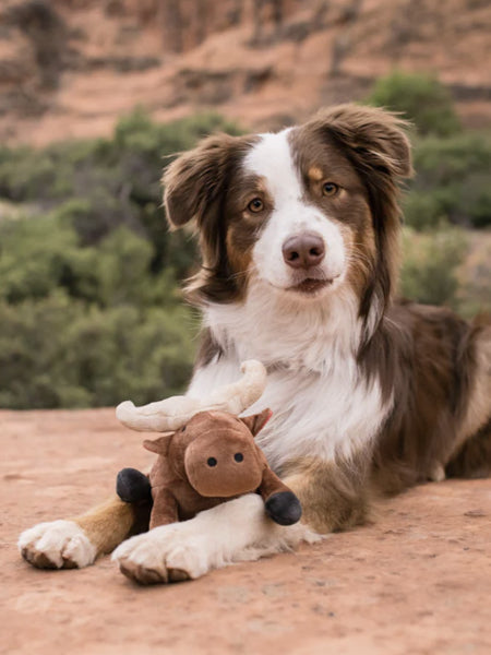 Jouet en peluche pour chien - Buffle 🐃 - Pet PLAY