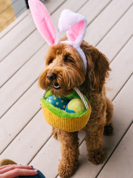 Peluche pour chien - Hippity Hoppity - Panier de pâques 🧺
