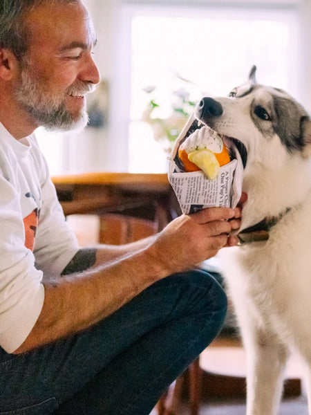 Peluche pour chien - international classic - Fish and Chips 🐟🍟 - Pet PLAY