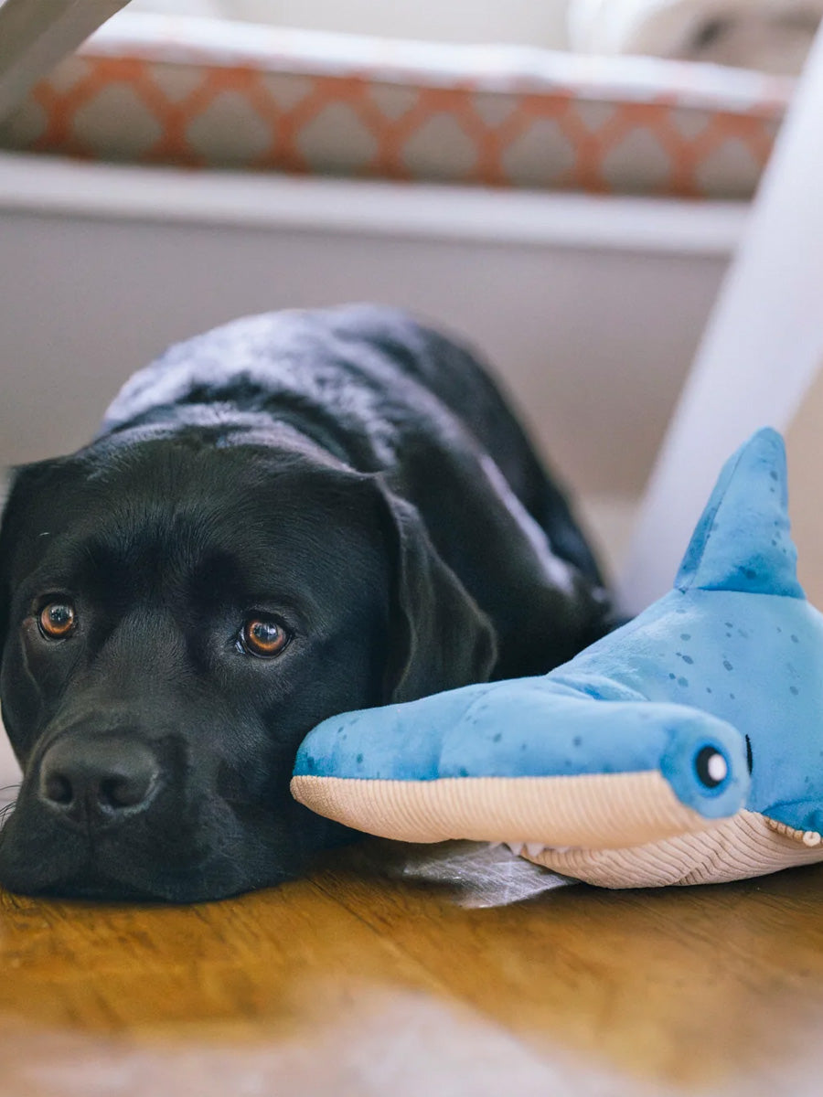 Peluche pour chien